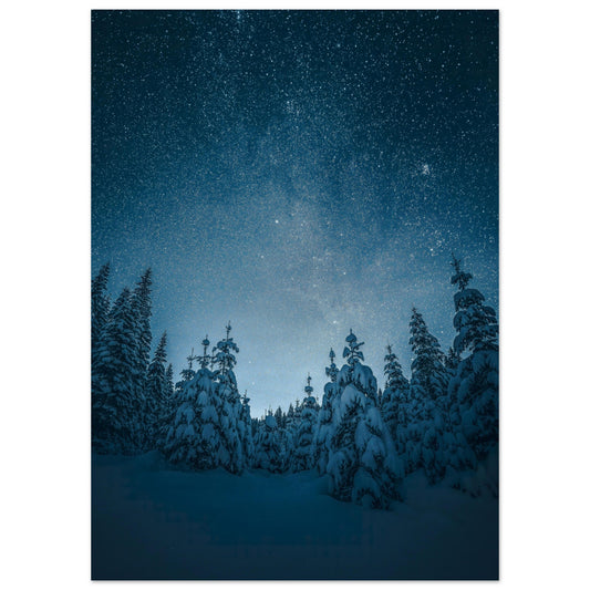 Nachthimmel in der Winterlandschaft Poster