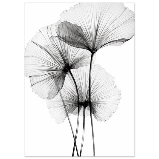 Flower Black & White Poster
