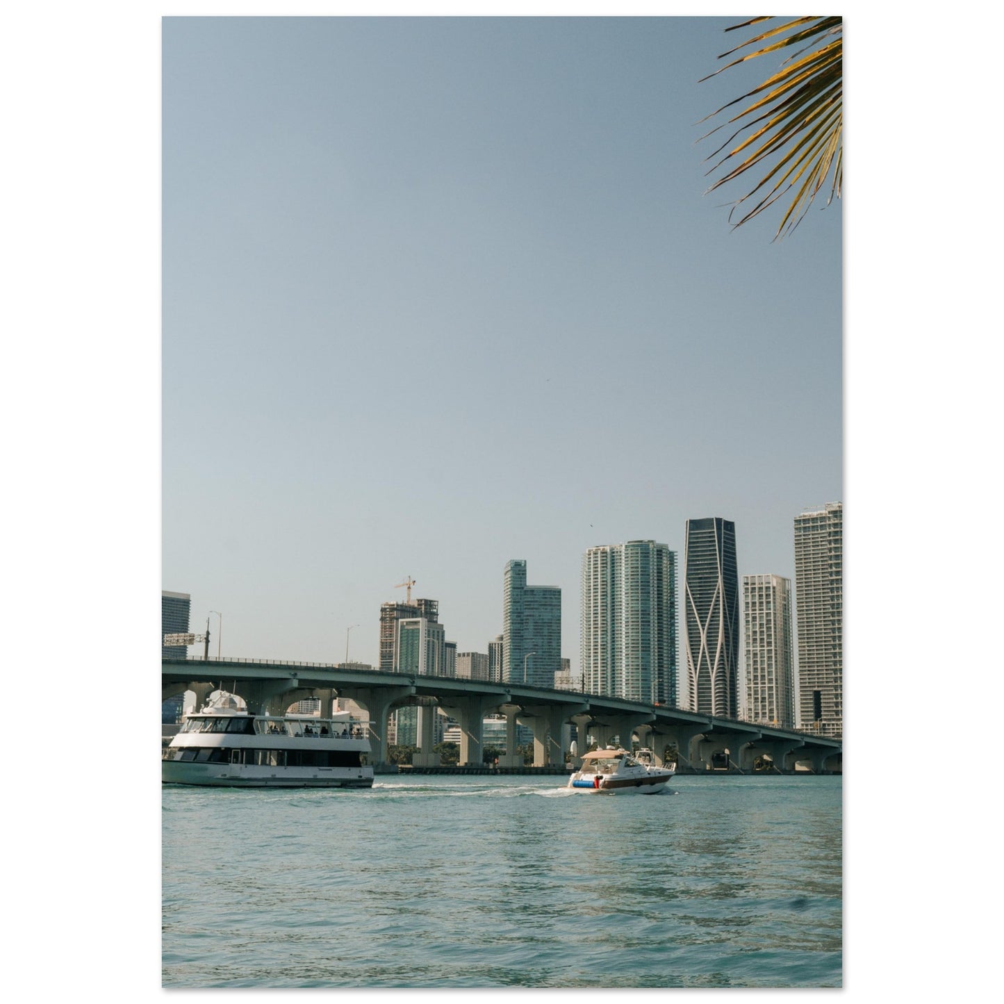 Miami Skyline Poster